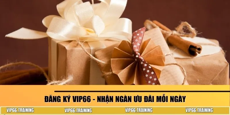 Đăng ký Vip66 - Nhận ngàn ưu đãi mỗi ngày